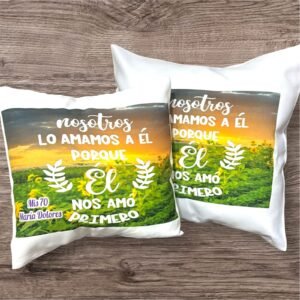 Almohadones de 40 x 40 cm